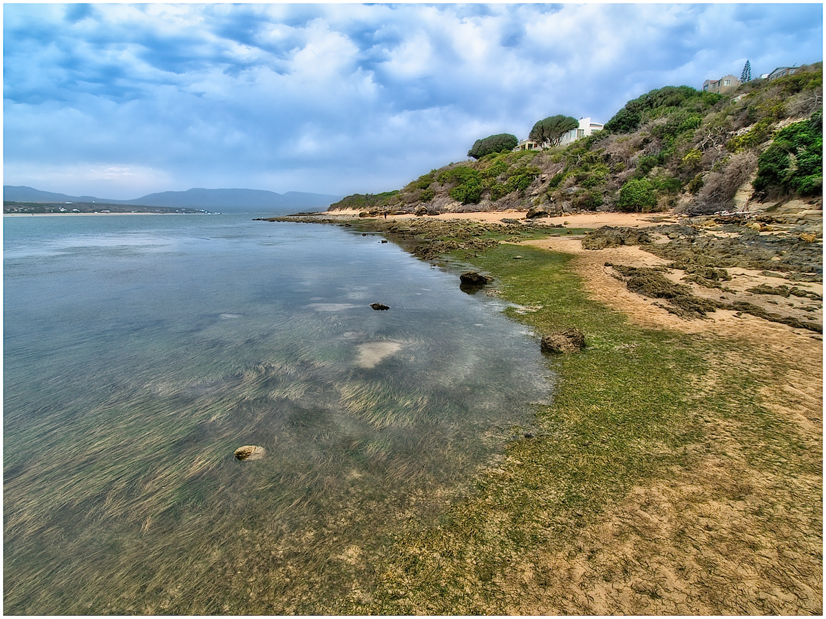 Tranquil Estuary