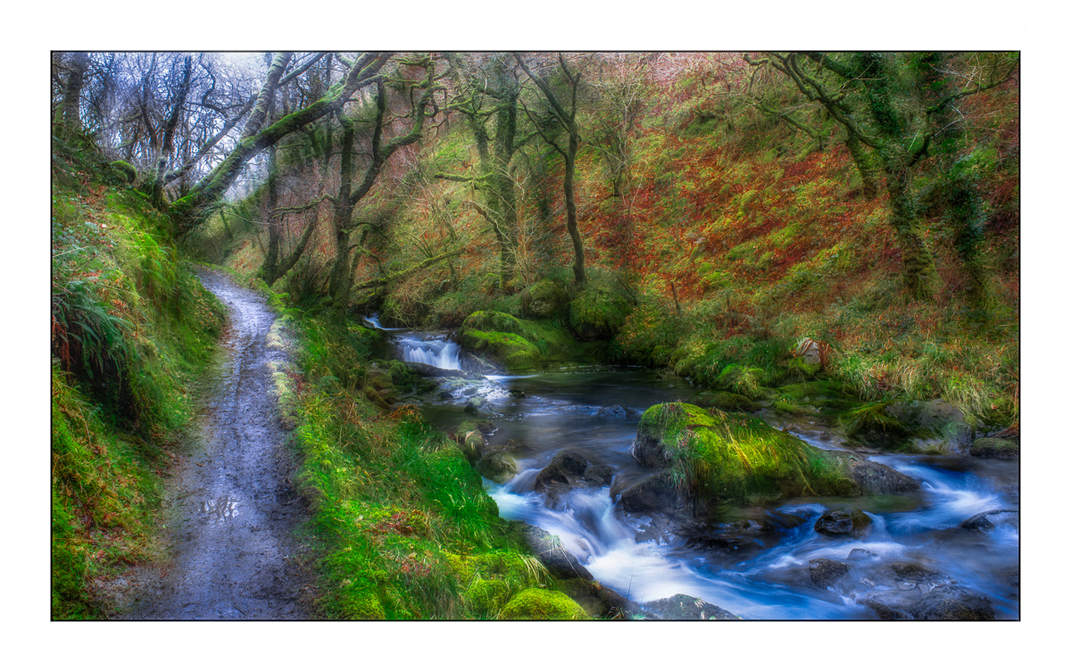 The Path & The Stream