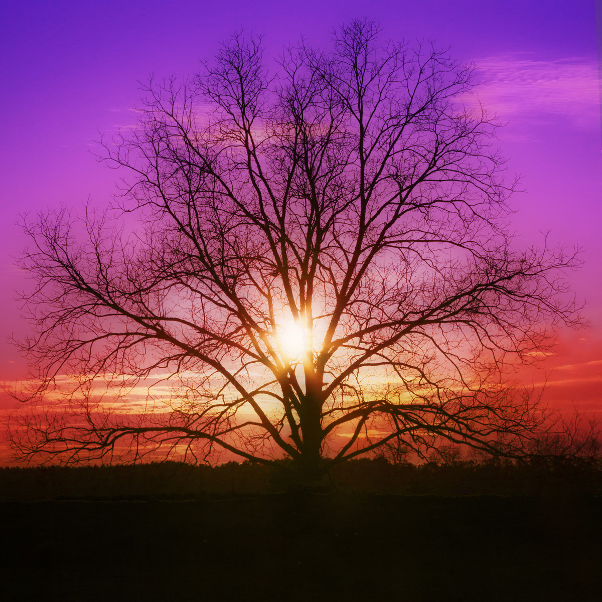 Hues of light