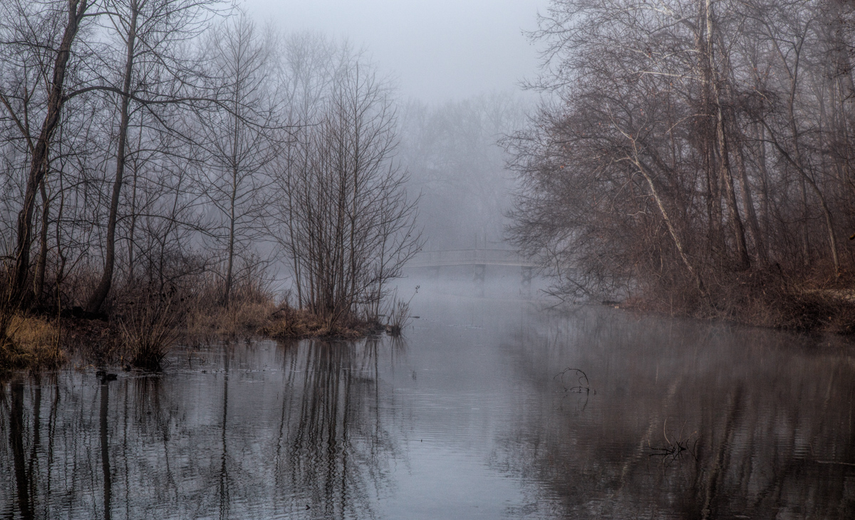 Foggy Morning