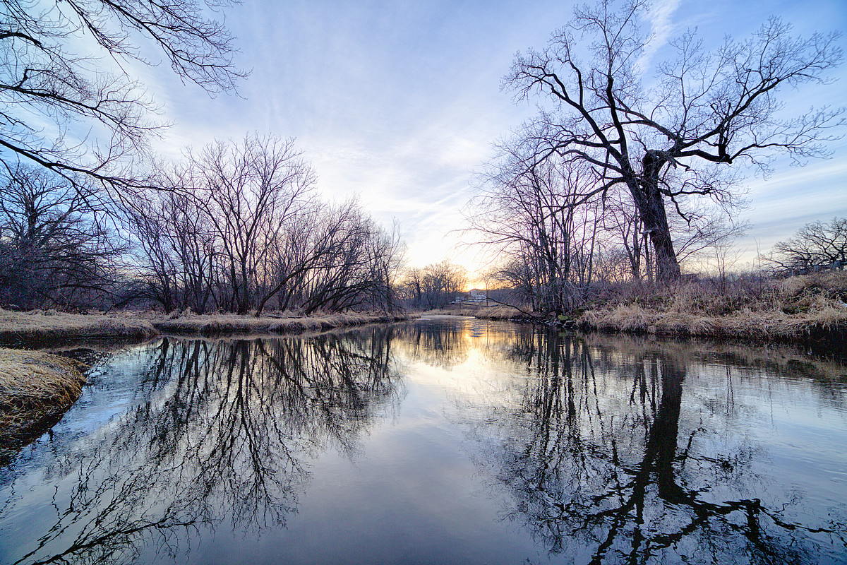 Silent Spring Sunrise