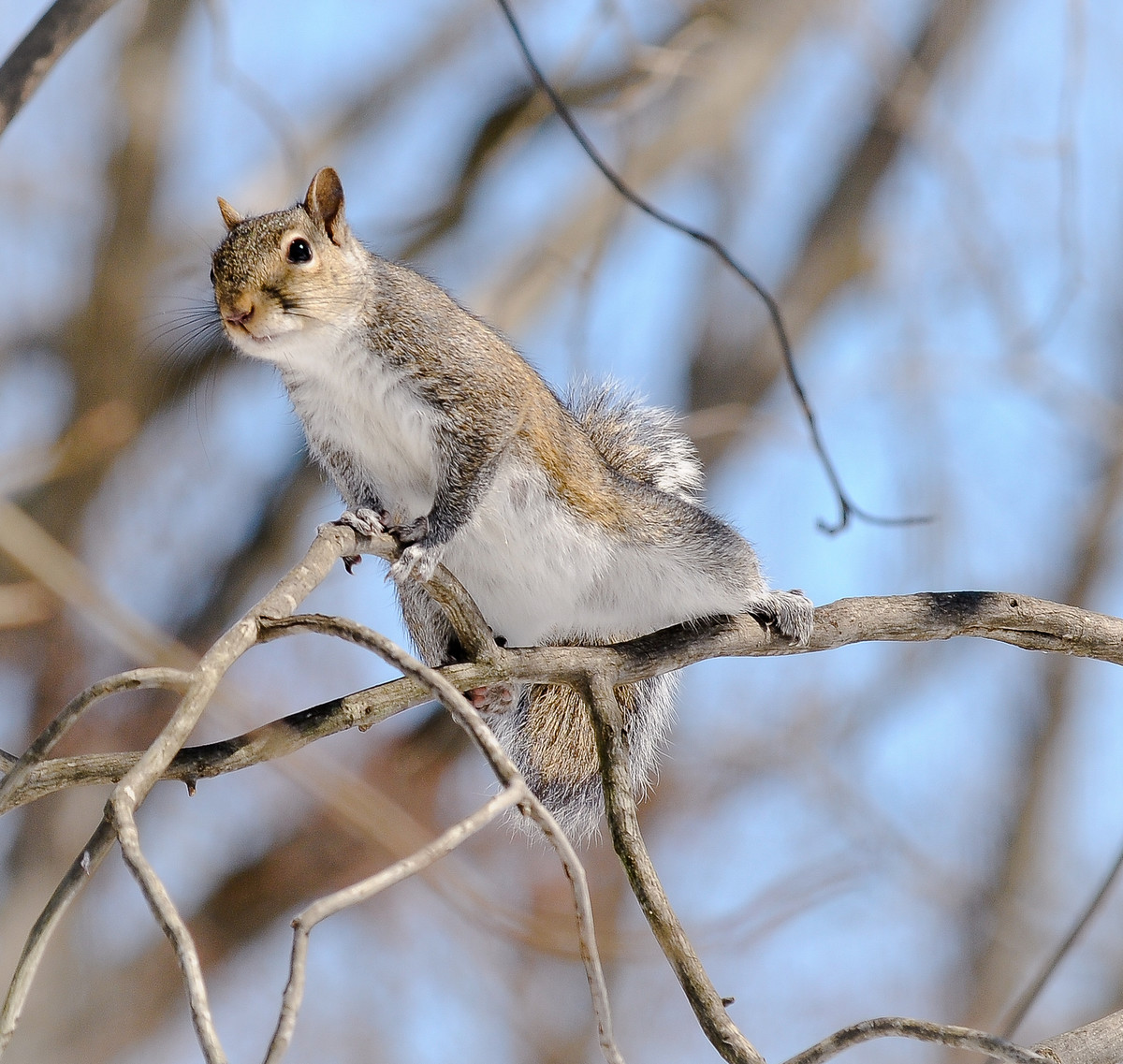 No you idiot, you are supposed to be up here and I'm supposed to be down there!