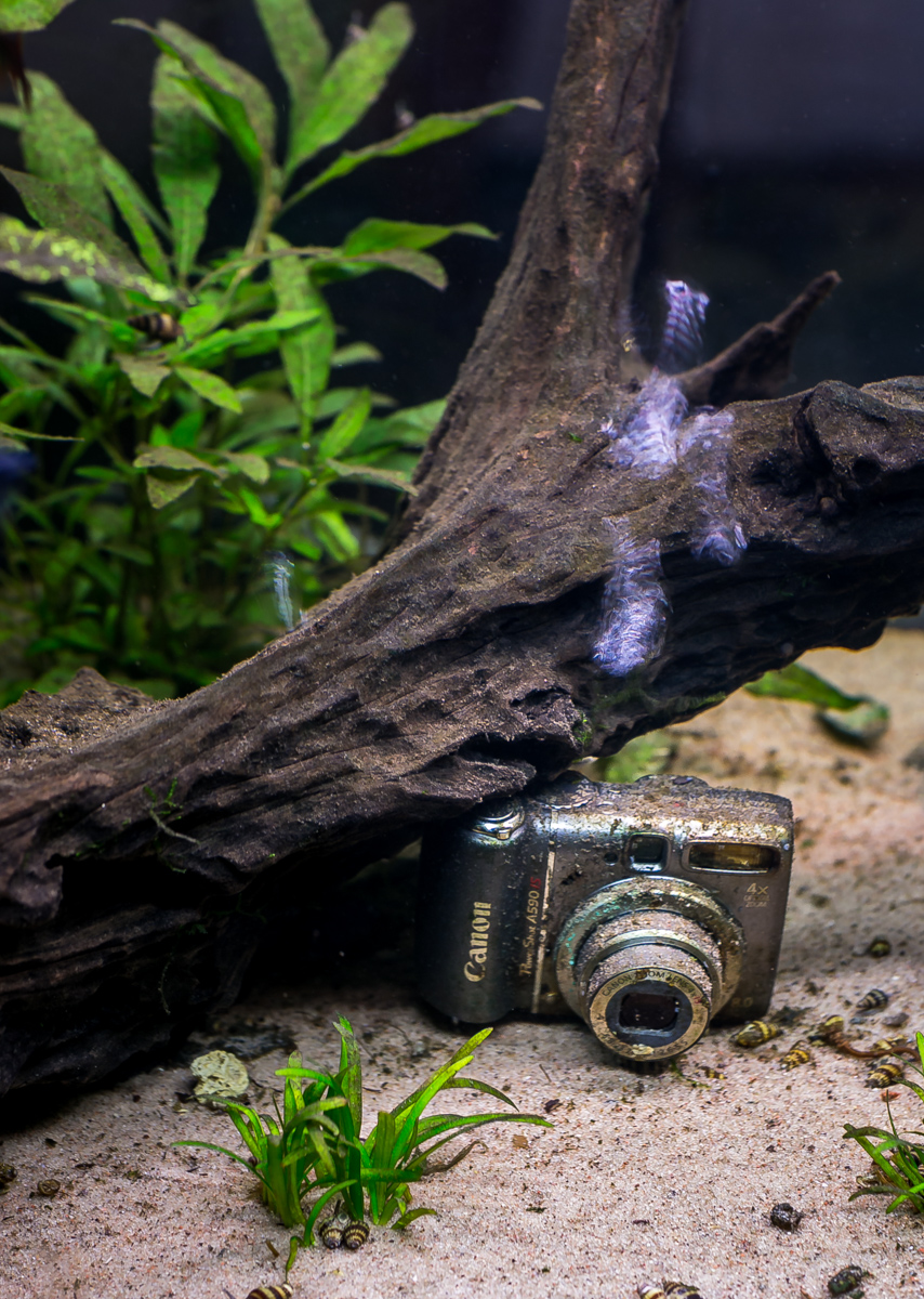 Aquacam