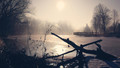 Stranger in the mist
