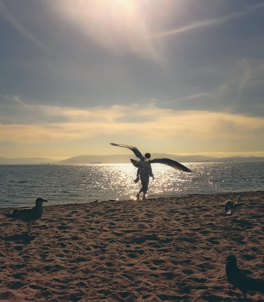 #Birdman
