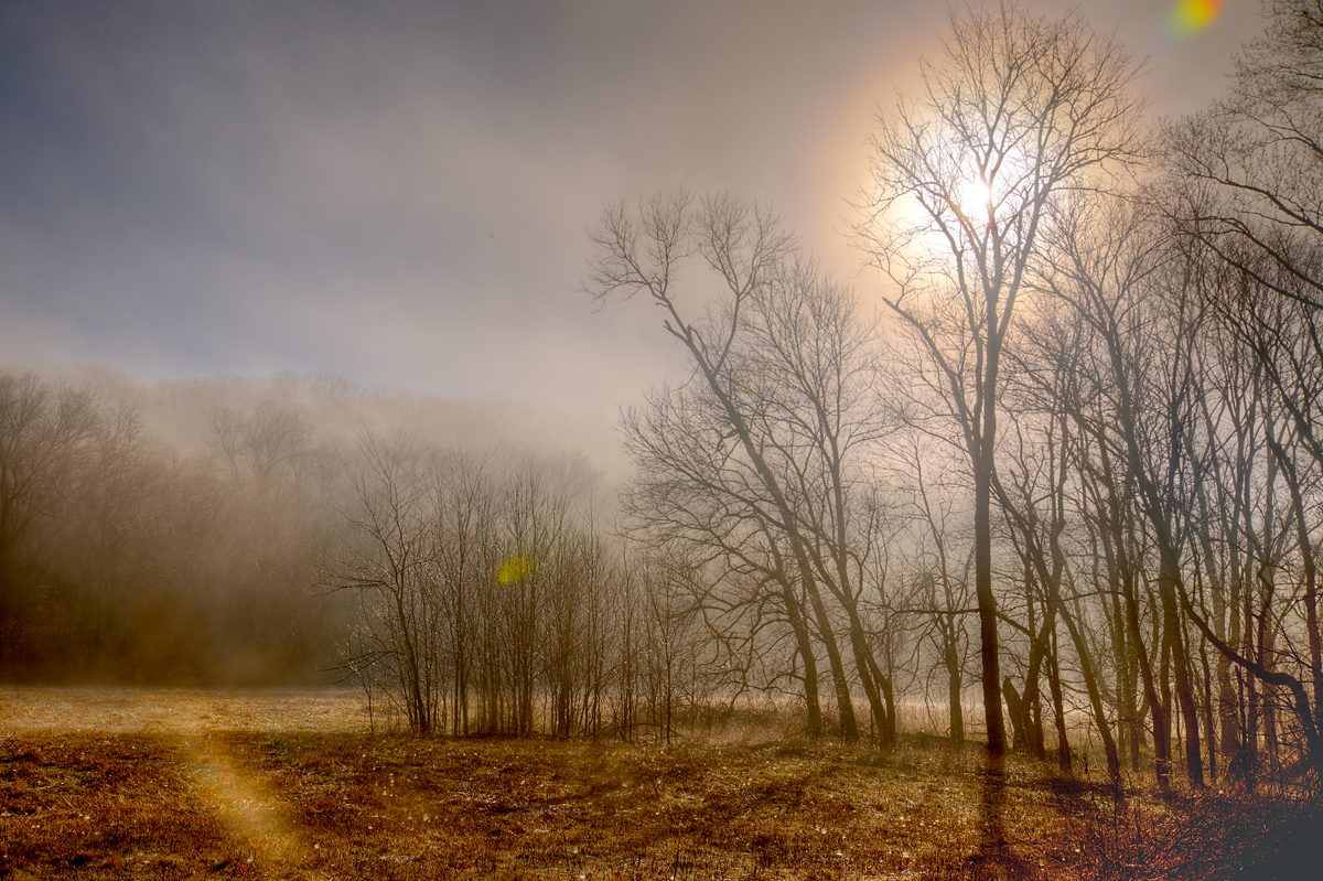 Misty Moisty Morning