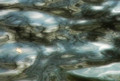 Reflections of a Park