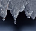 winter's grip, now loosened