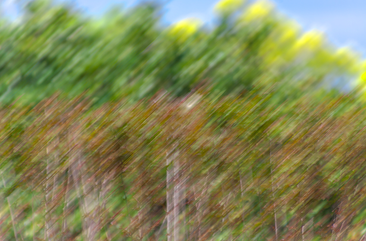 Spring is near
