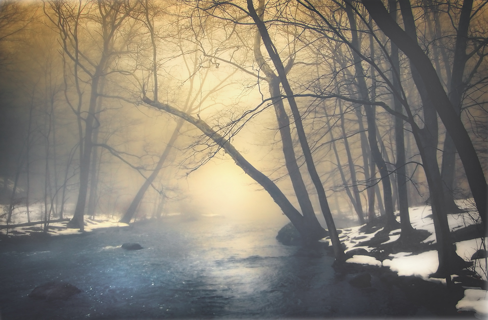 Keywords: foggy, river, winter, woods, spooky, magic