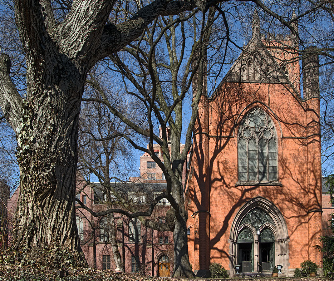 Trees and Gothic Chapel