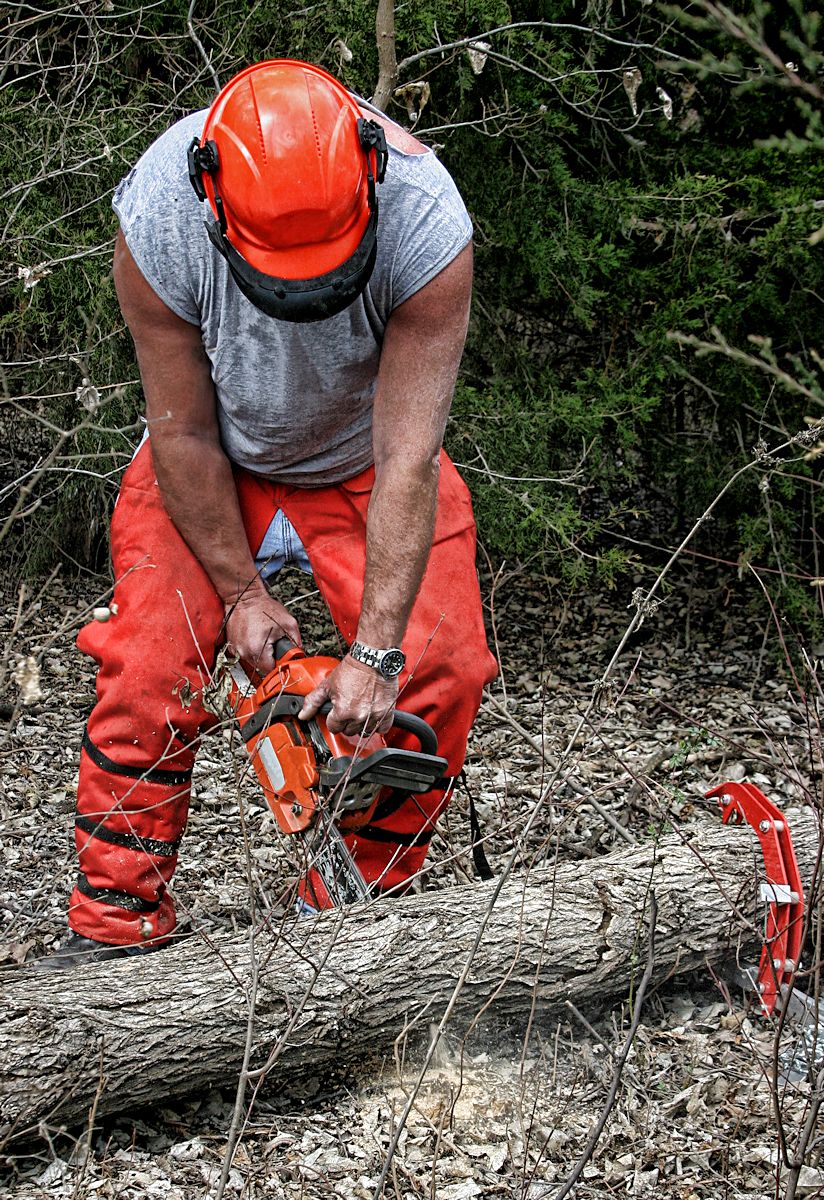 Tags:  lumberjack, chain saw, logger, wrap chaps, helmet system, protective gear
