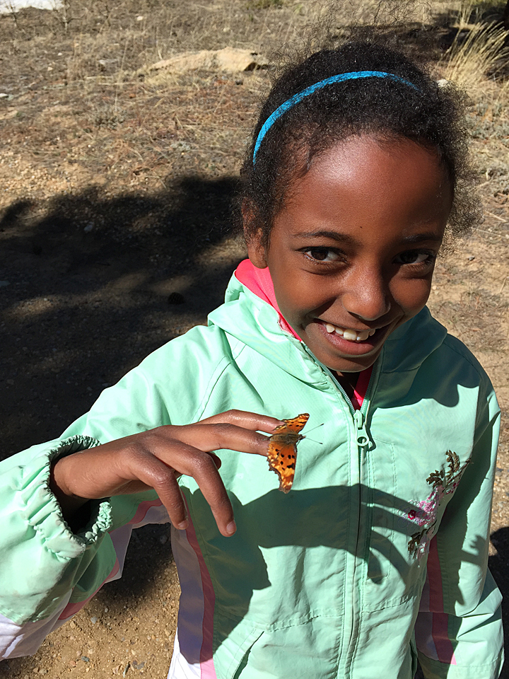 Girl with Polygonia gracilis 