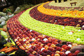 Follow the colour fruit road