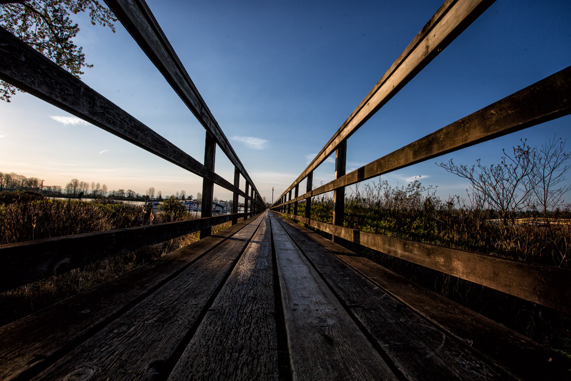 Walkway Lines