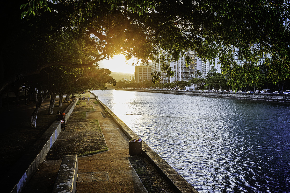 Morning on the Canal