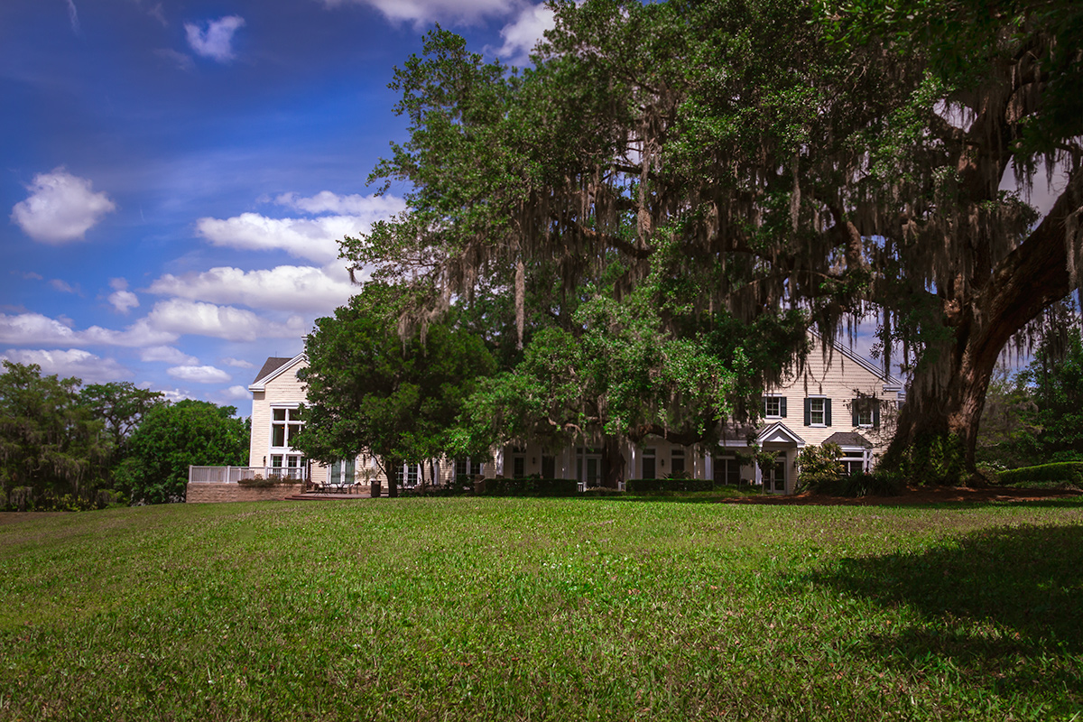 Springtime on the lawn