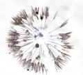 dropwheel