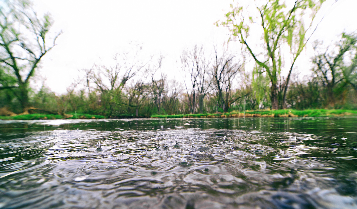 Spring Pond