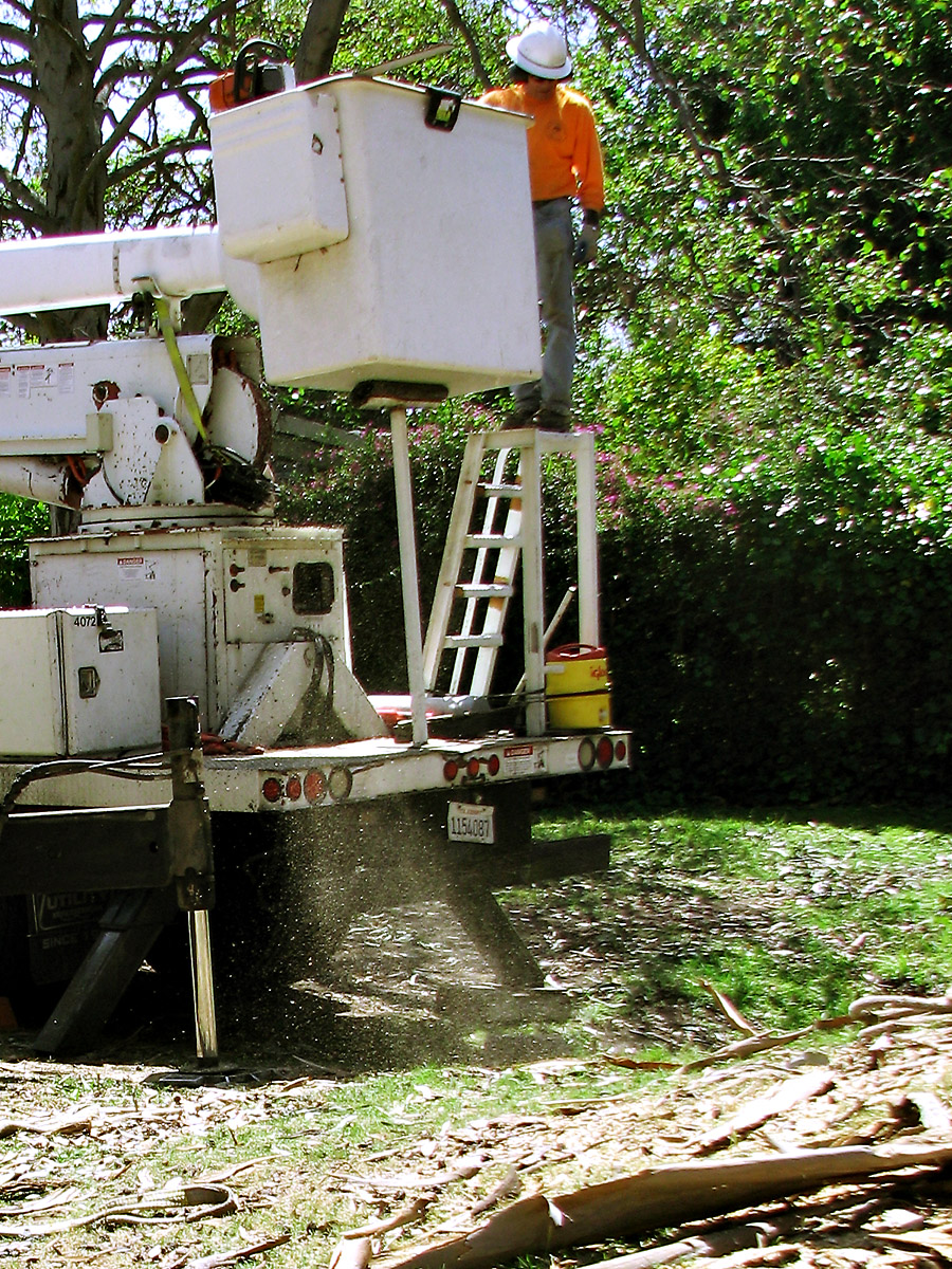 Raining Sawdust