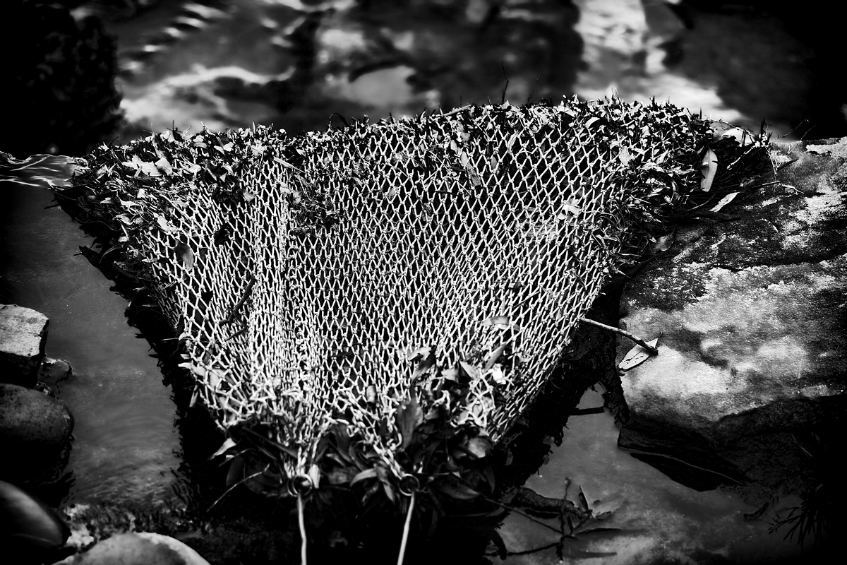 netted