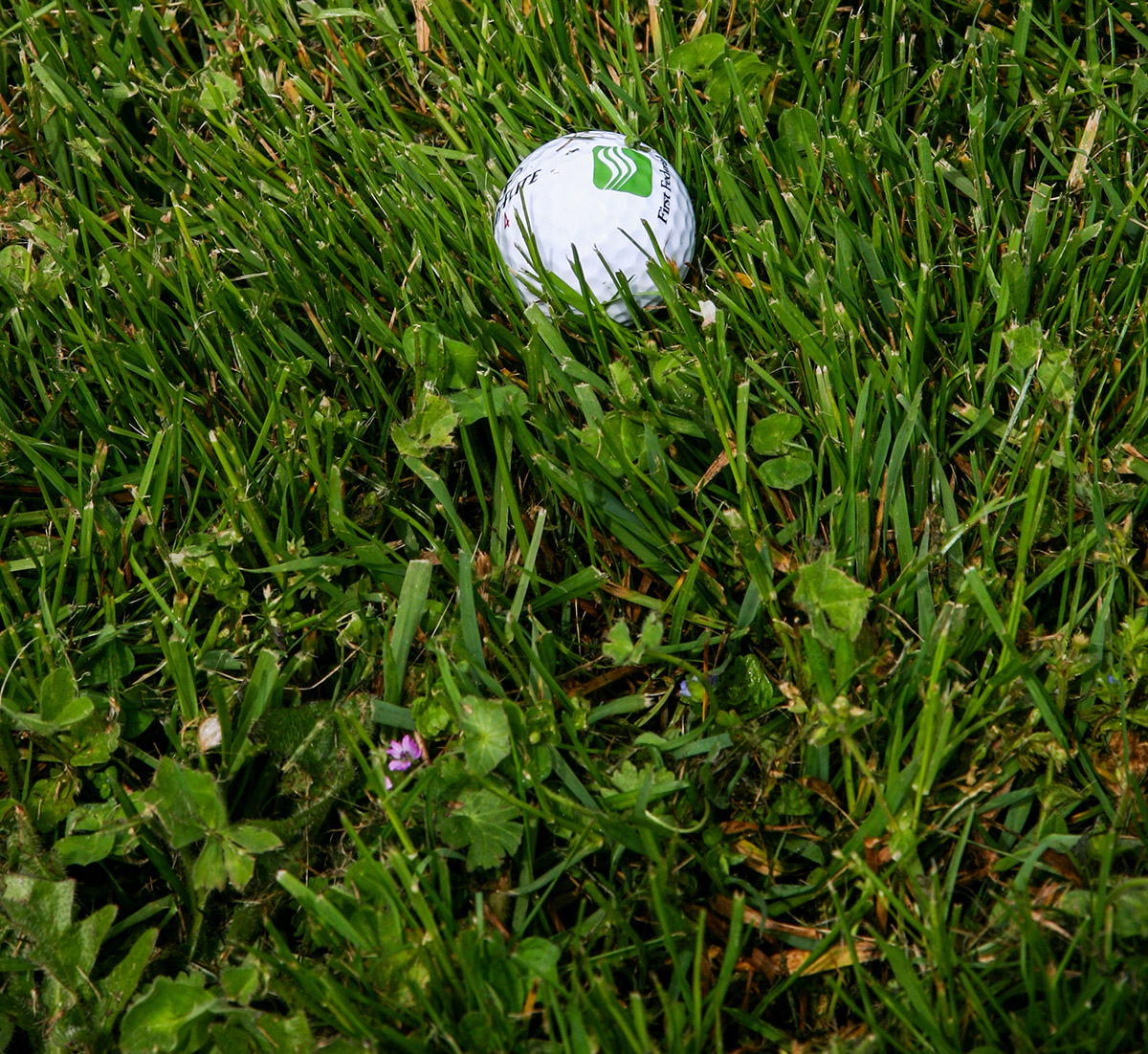 Play it as it lies