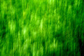 Abstract In Green