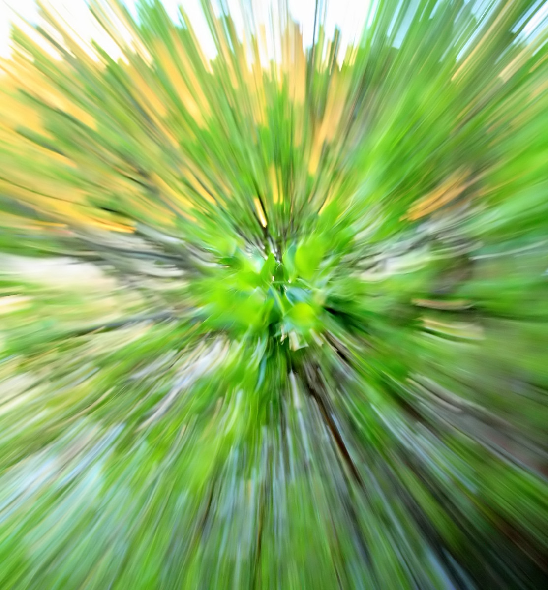 Warp drive