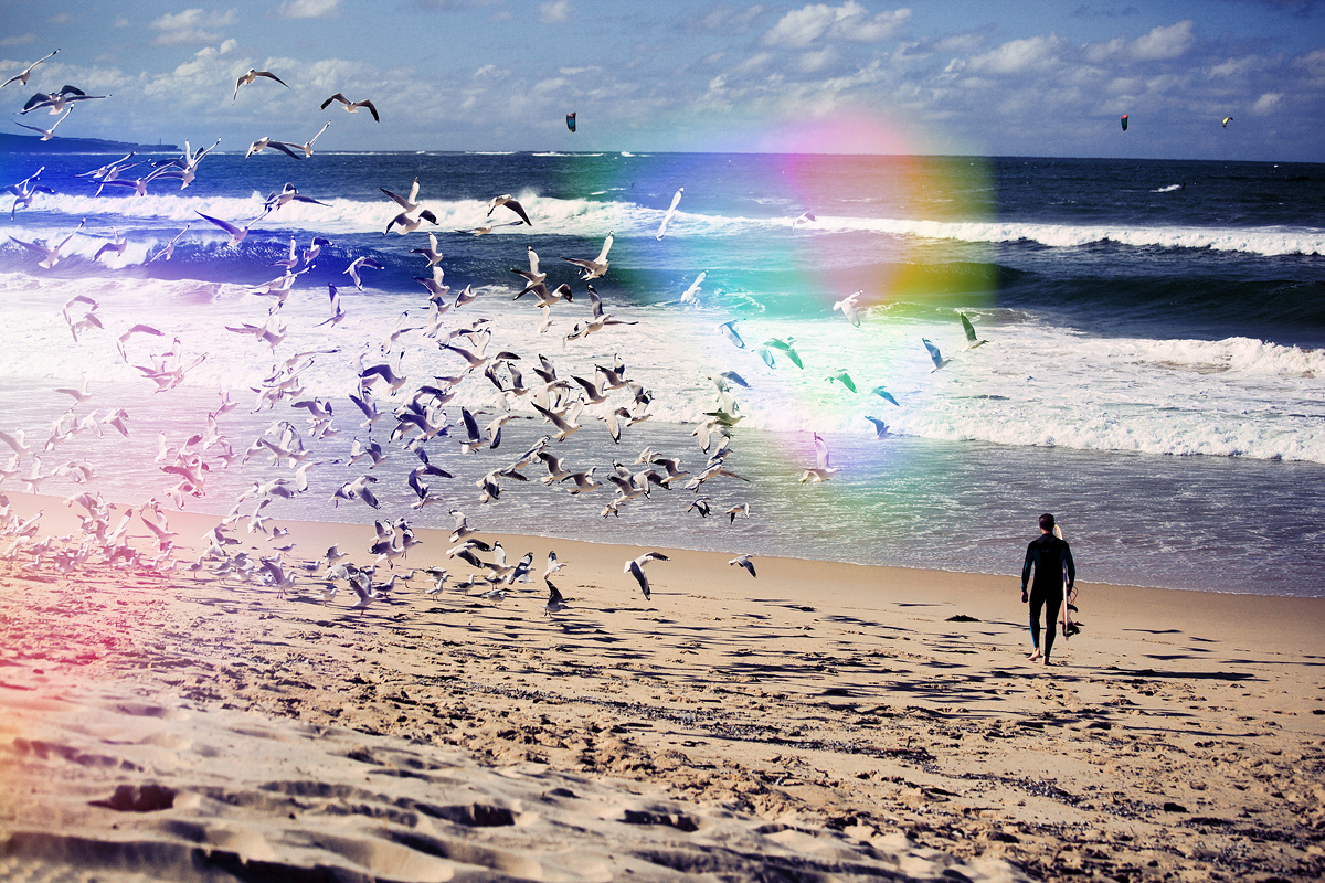 cronulla beach