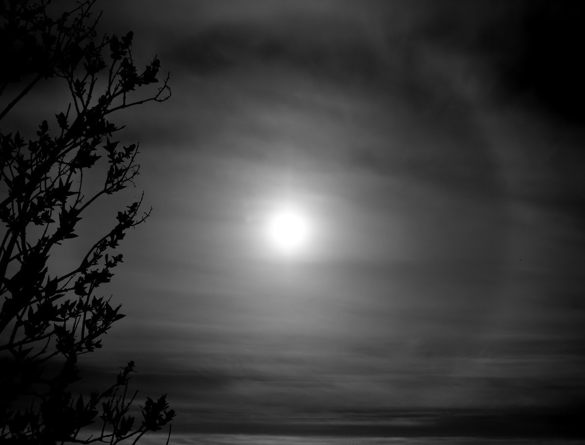 Is There Anybody Out There ?