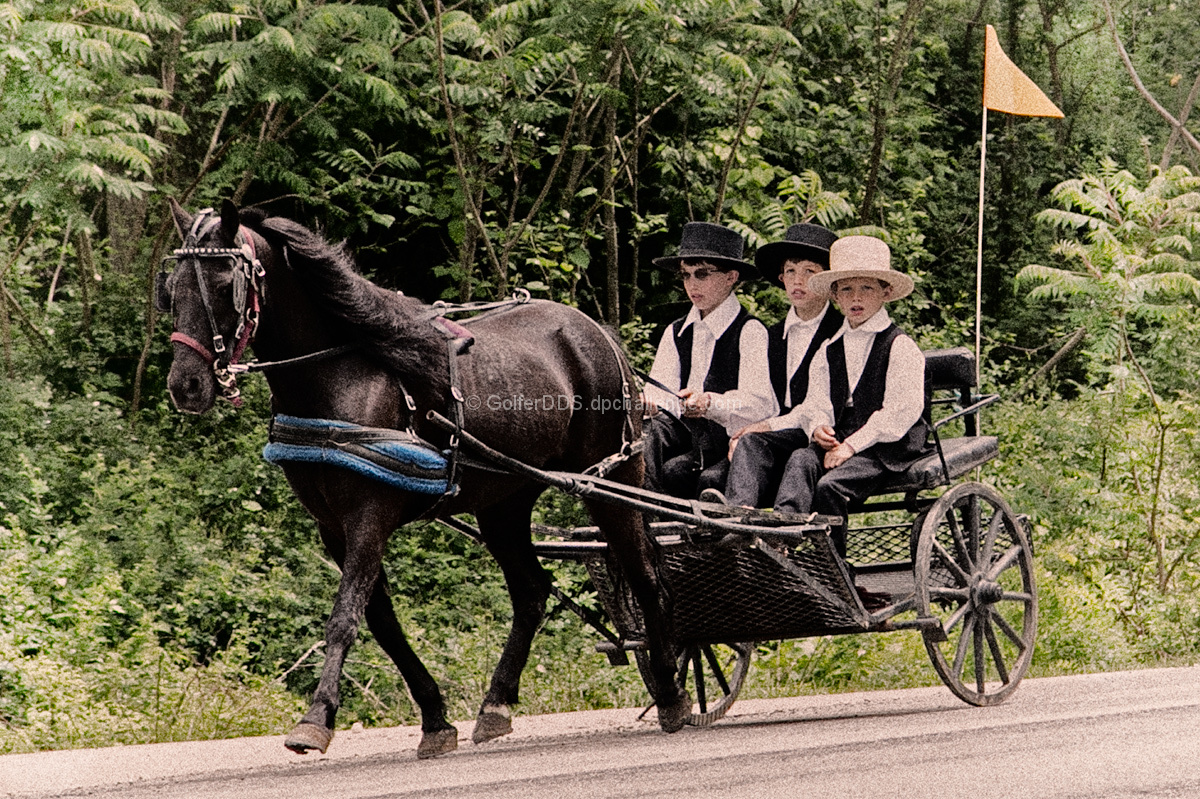 Amish Boys