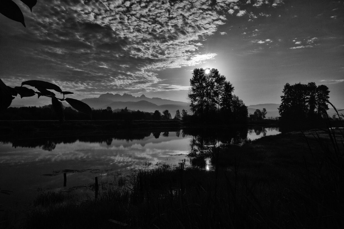Pitt River in the Morning