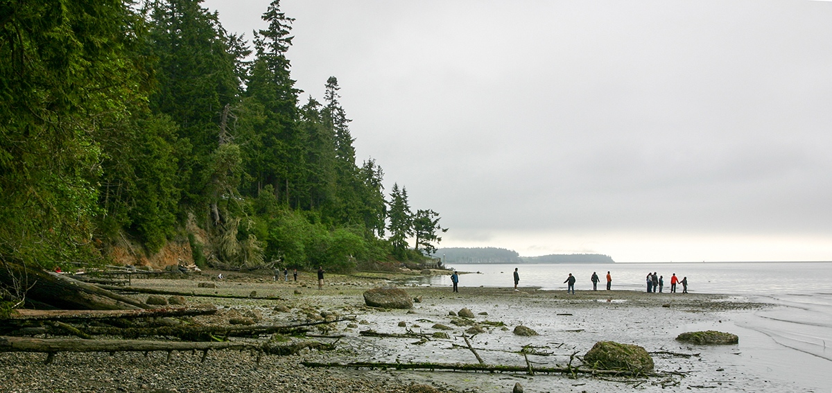 Low Tide