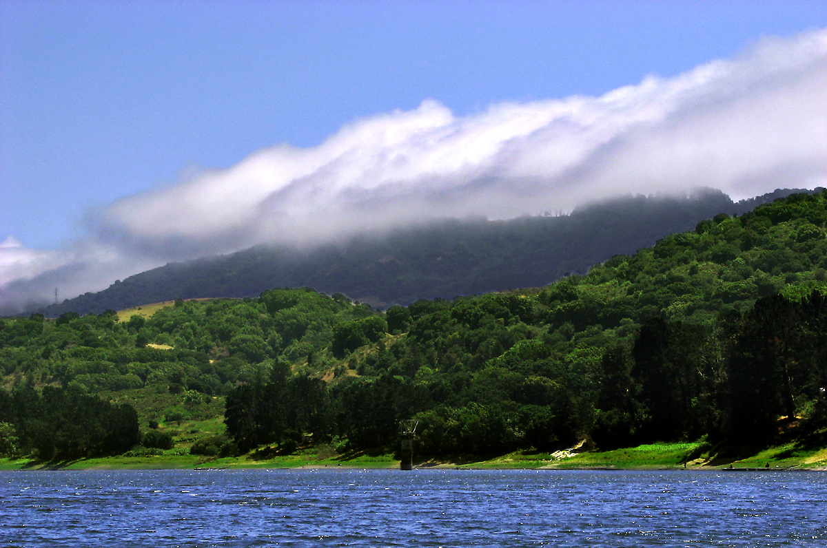 The Fog Rolls In