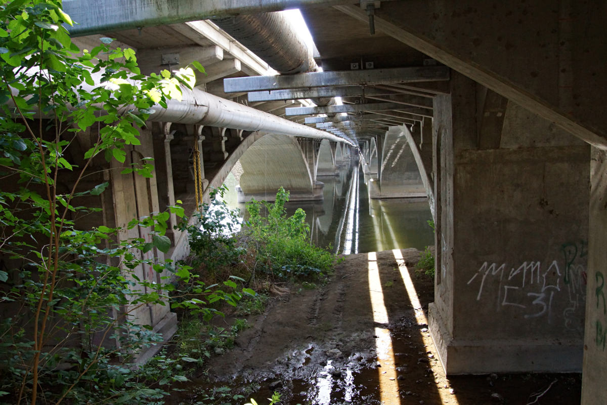 Under the bridge