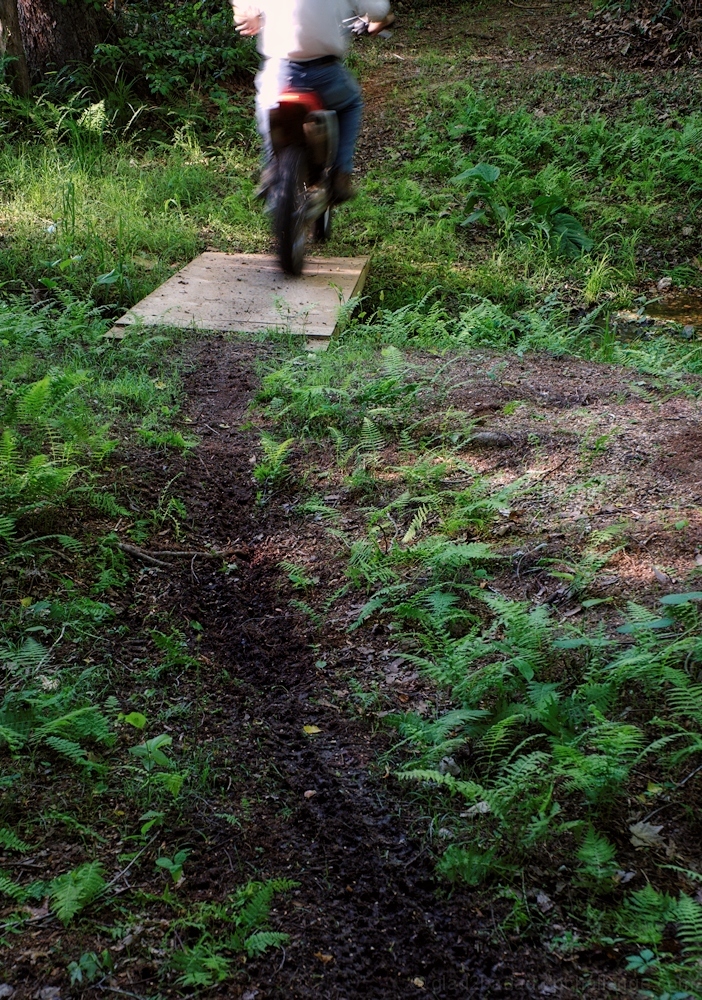 Trail Stream Crossing