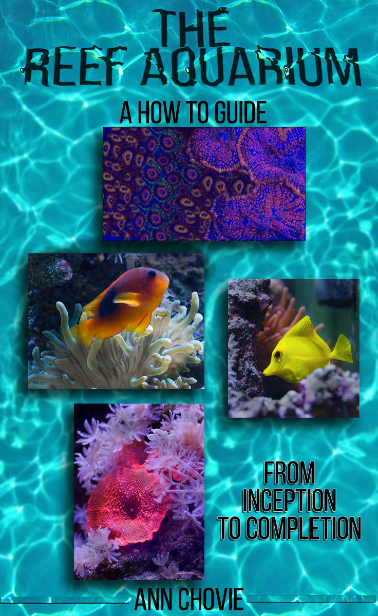 The Reef Aquarium