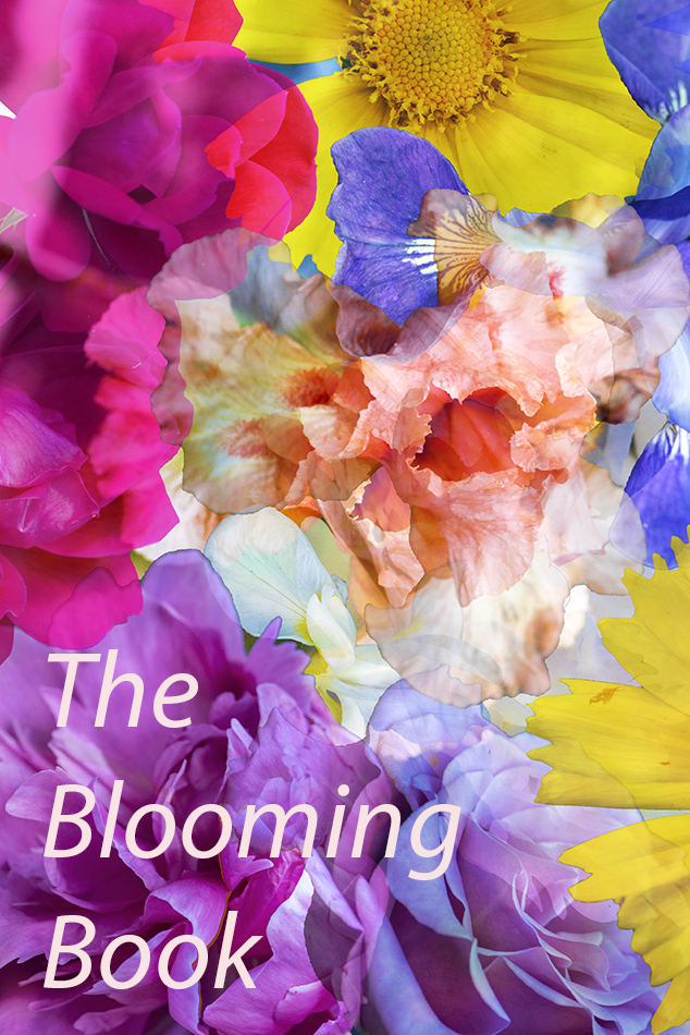 the book of blooms