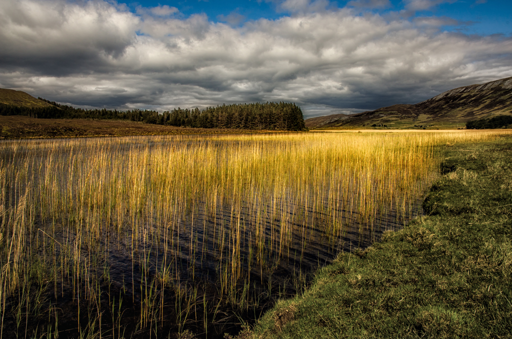 On Golden Pond