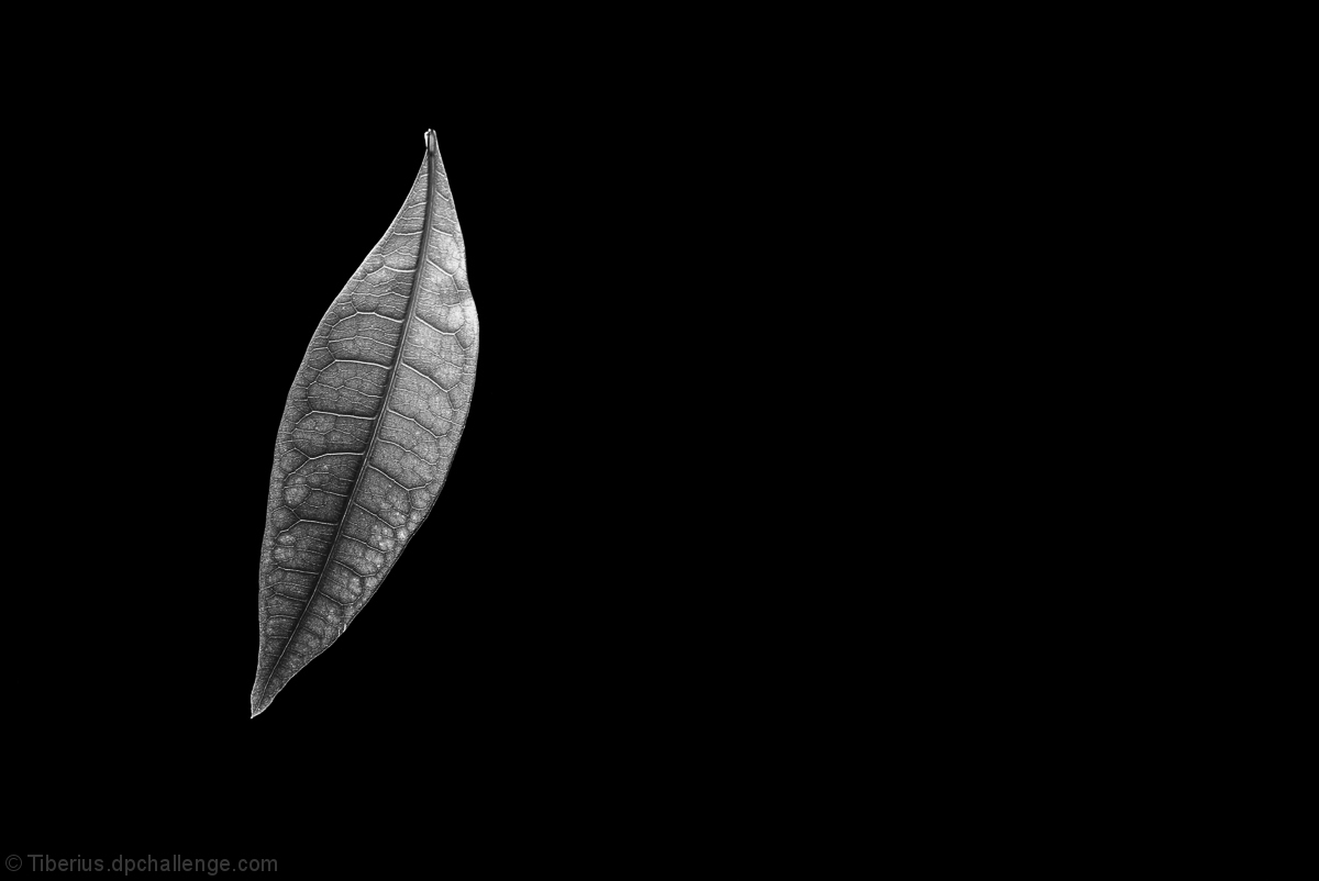 one