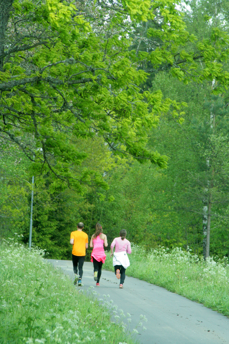 Jogging in oak leaves