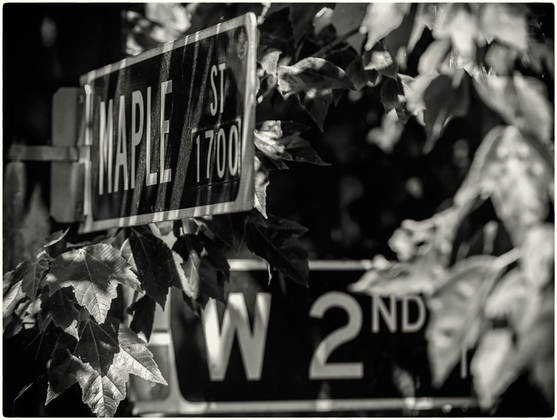 Maple on Maple
