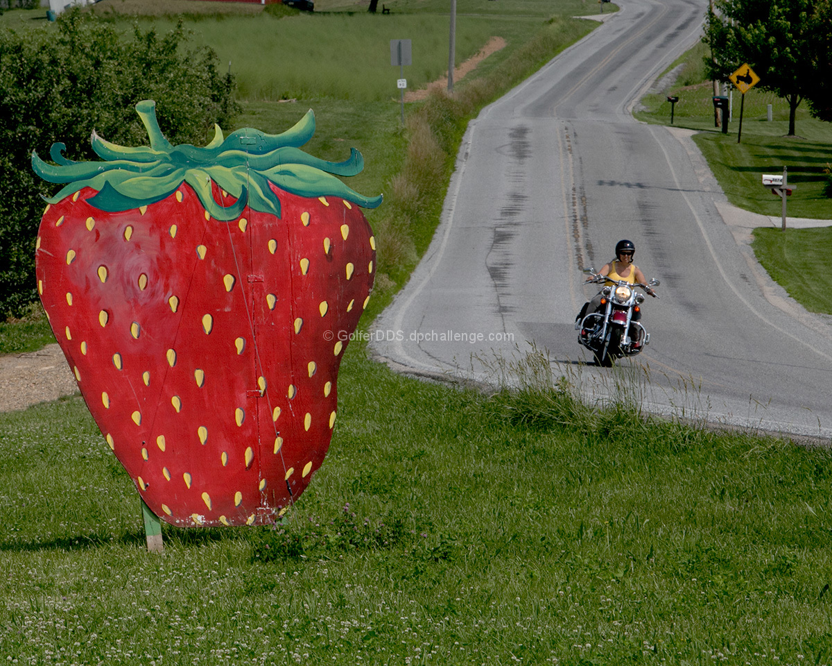 Strawberries For Sale