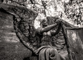 The Angel of Death Victorious