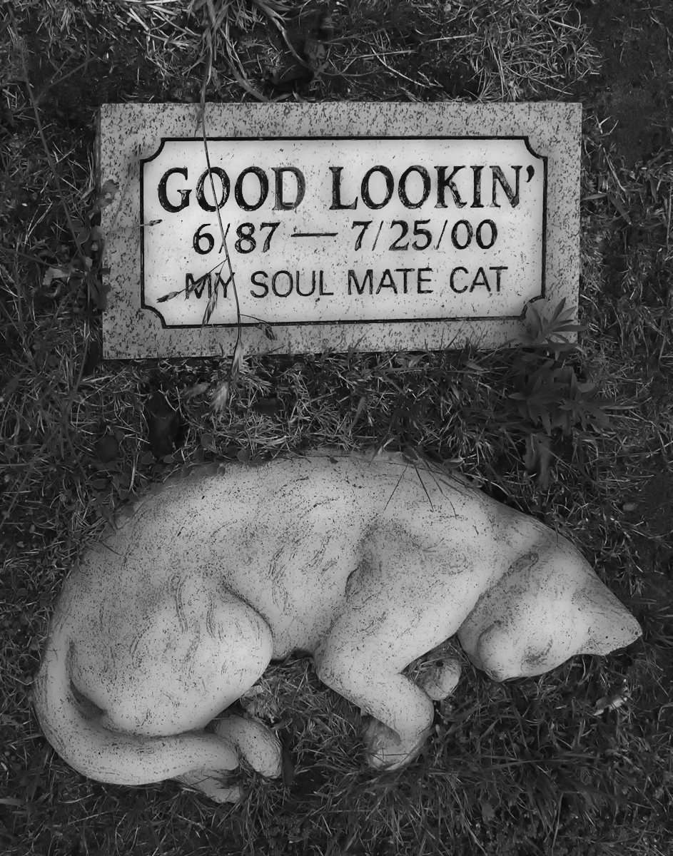 At the Pet Cemetery