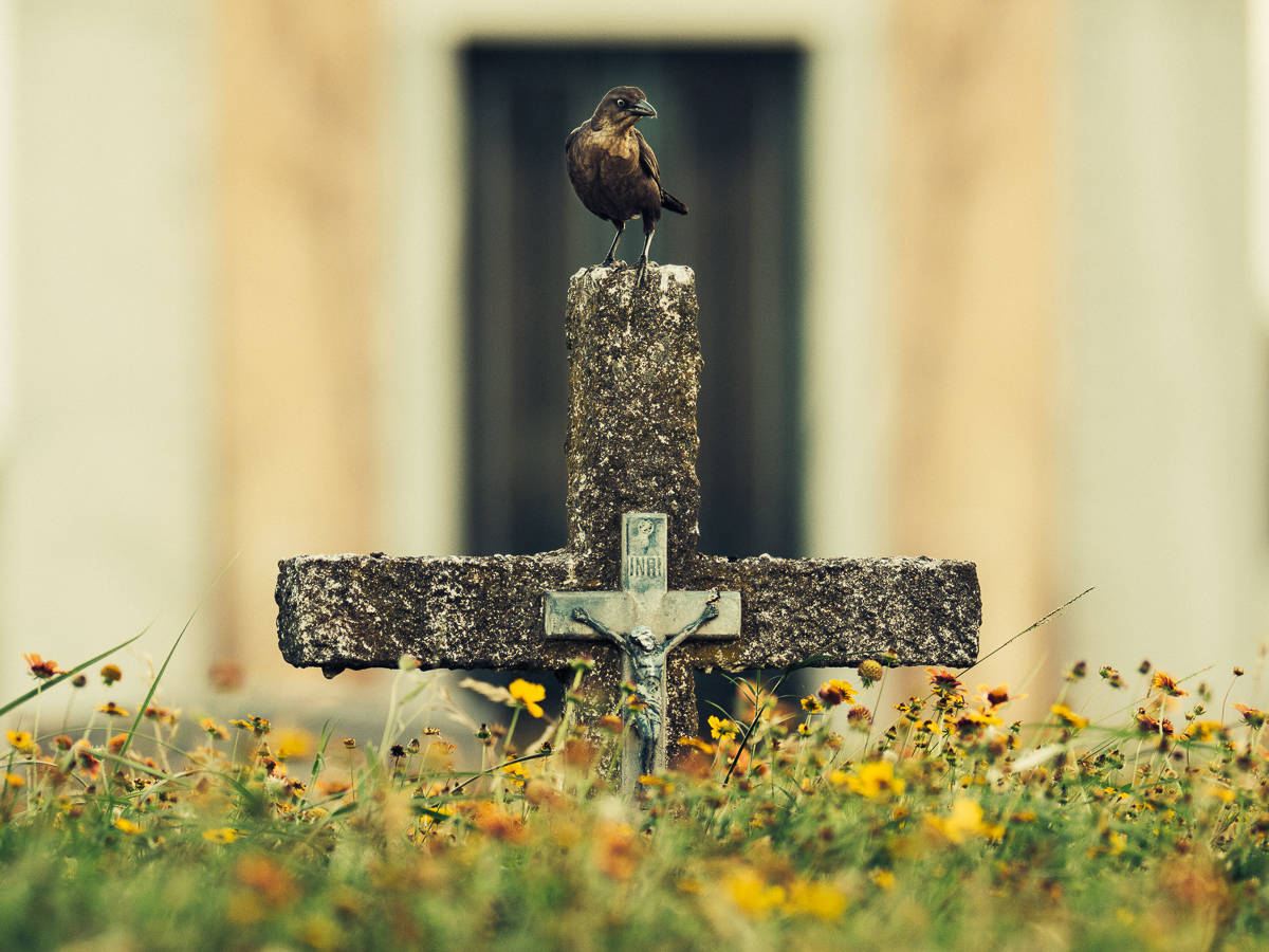 Grackling at Death