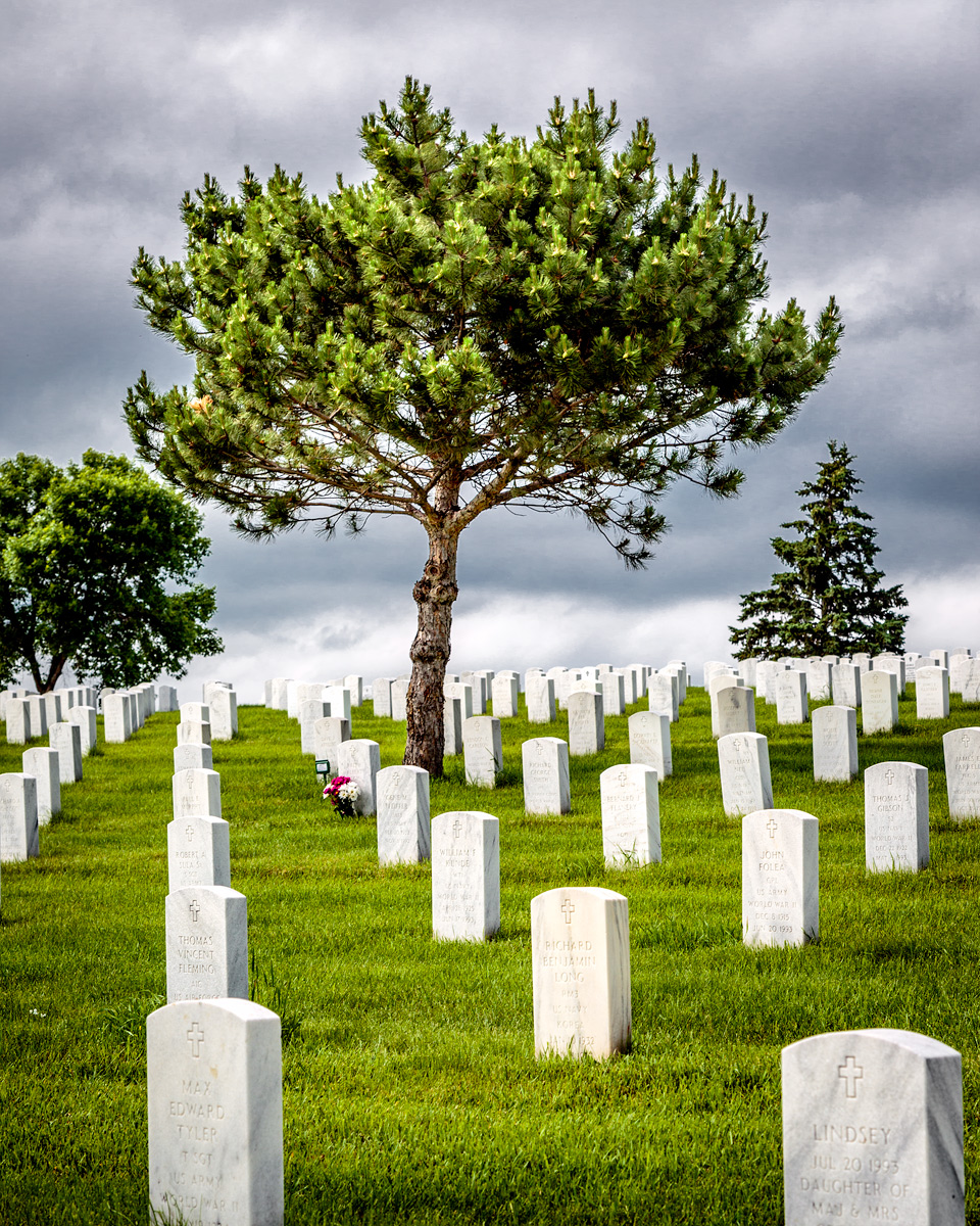 On the Hill Under the Tree