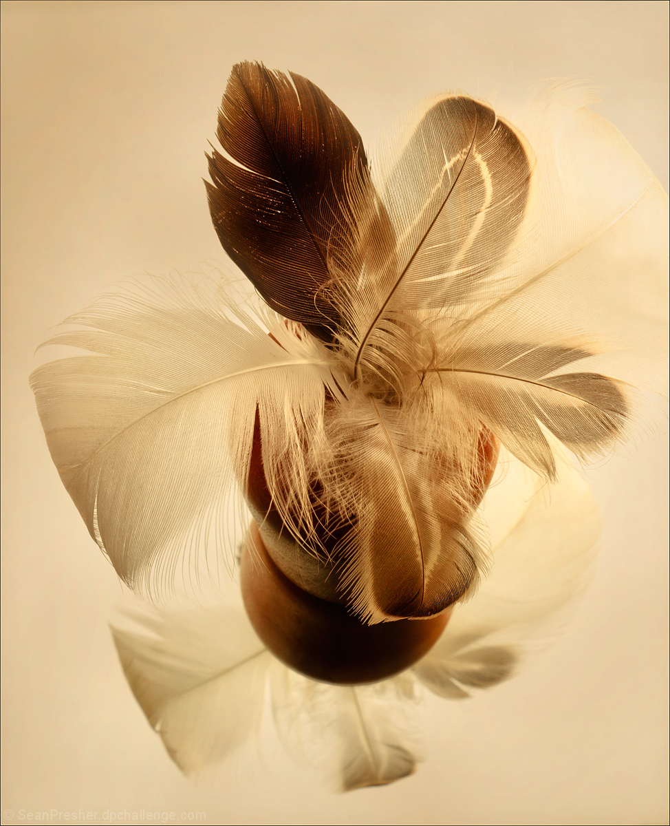 Soft-Reflections