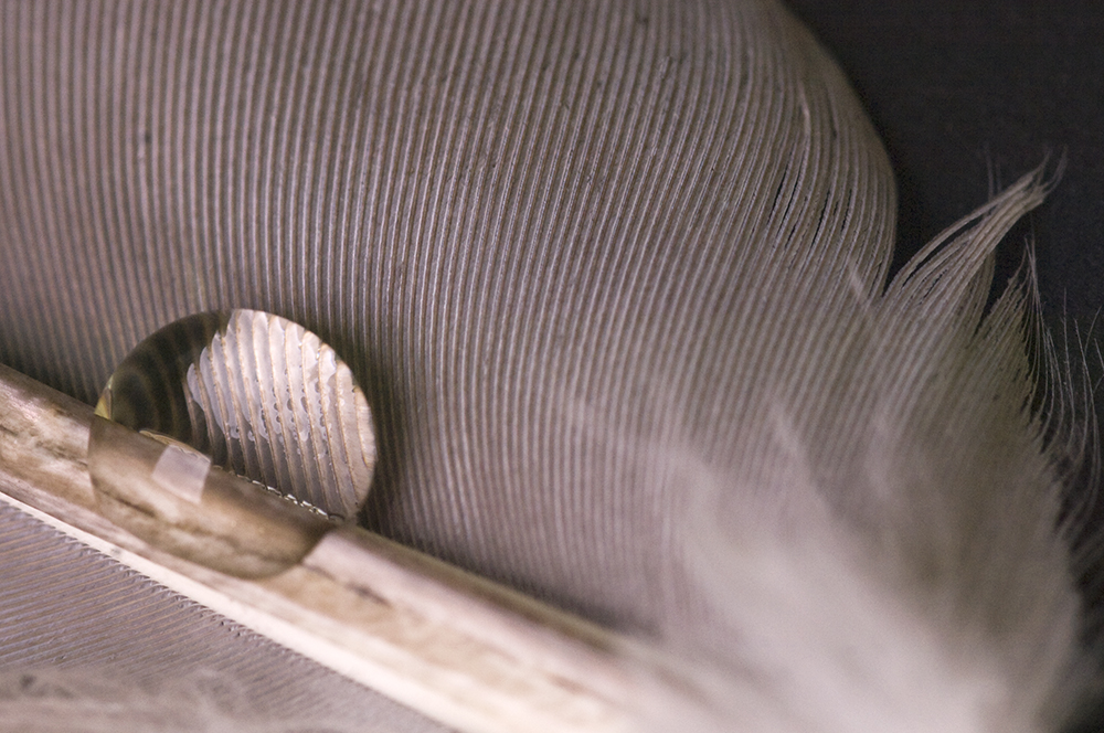l'Etanchéité d'une Plume