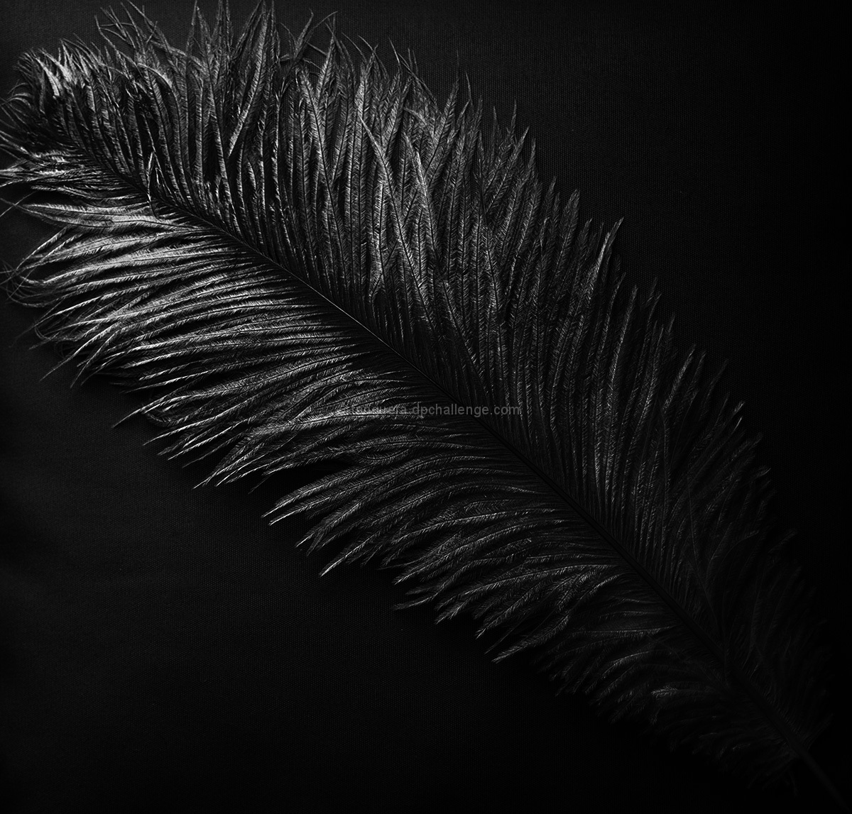 ...but a whisper
